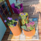 GrillSymbol Corten Steel Flower Pot Set Sisters