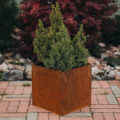 GrillSymbol Corten Steel Planter Fiora S, 30x30x30 cm