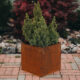 GrillSymbol Corten Steel Planter Fiora S, 30x30x30 cm