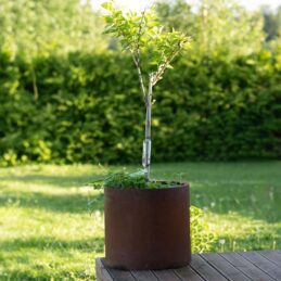 GrillSymbol Corten Steel Planter Myy XXL, ø 80 cm