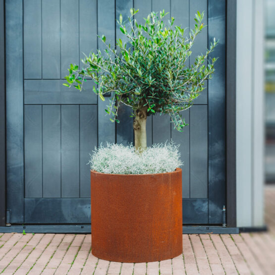 GrillSymbol Corten Steel Planter Myy, ø 53 cm
