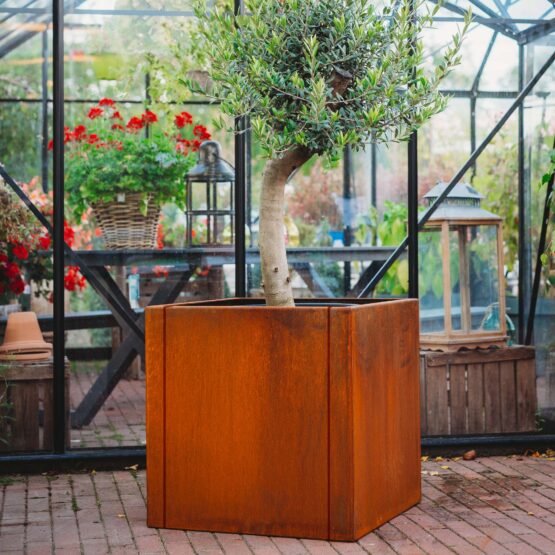 GrillSymbol Corten Steel Planter Clara XL, 60x60x60 cm