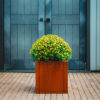 GrillSymbol Corten Steel Planter Clara M, 40x40x40 cm