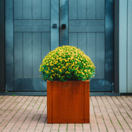 GrillSymbol Corten Steel Planter Clara M, 40x40x40 cm GrillSymbol Corten Steel Planter Clara M, 40x40x40 cm