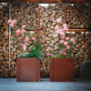 GrillSymbol Corten Steel Planter Clara M, 40x40x40 cm